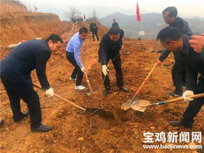 春暖植樹正當時 渭濱區種下萬余株 扶貧苗