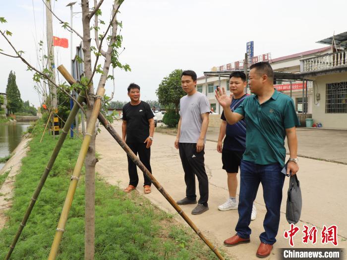 耕地林苗轉(zhuǎn)移溝港路邊 湖南大通湖美了村莊富了集體