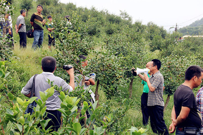 花垣縣移民局經濟林苗繁育種植示范基地(輔園一)