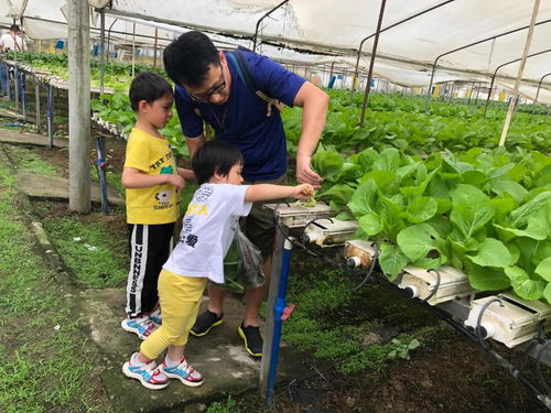 重磅 教育部發文 將組織召開全國中小學勞動教育現場推進會