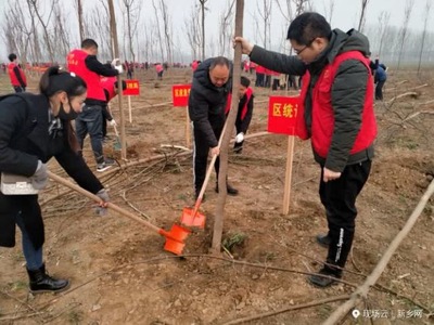 新鄉掀起植樹高潮,共造林18.54萬畝